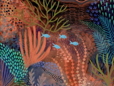 coral illustration shelley jayne