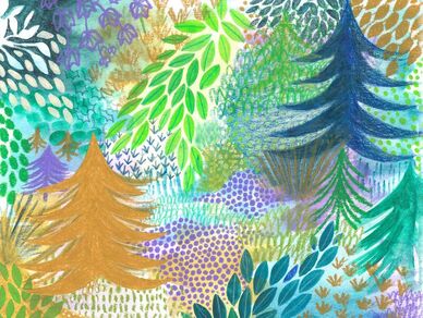 forest illustration shelley jayne